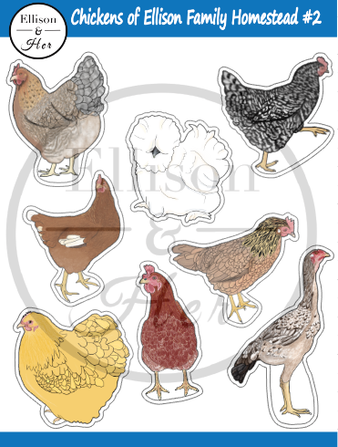 Vinyl Sticker Sheet: Chickens of Ellison Family Homestead #2