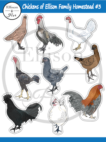 Vinyl Sticker Sheet: Chickens of Ellison Family Homestead #3