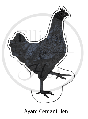 10-Pack Rare Breed Collection: LARGE Die-Cut Vinyl Chicken Stickers