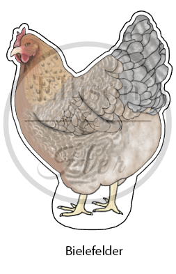 12-Pack Laying Breed Collection: LARGE Die-Cut Vinyl Chicken Stickers